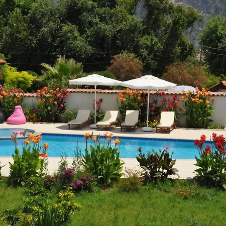 Beautiful 4-Bed Villa Private Pools Villa *